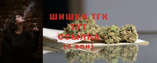 амф Пересвет