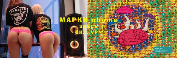 амф Пересвет