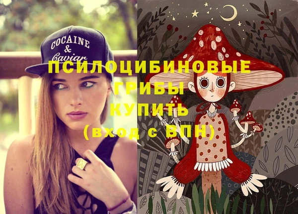 тгк Пестово