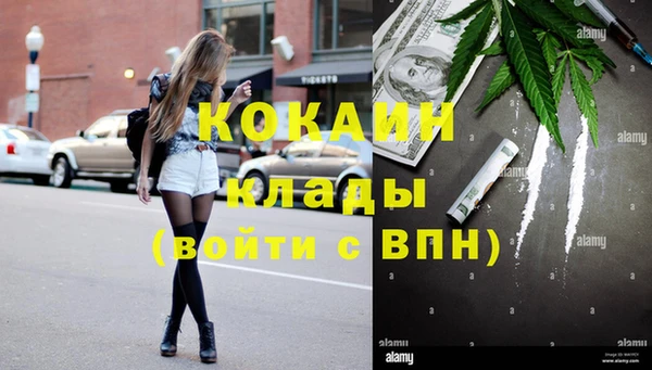 амф Пересвет