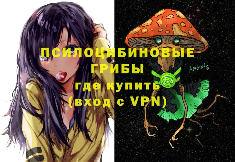 Галлюциногенные грибы MAGIC MUSHROOMS  Туринск 