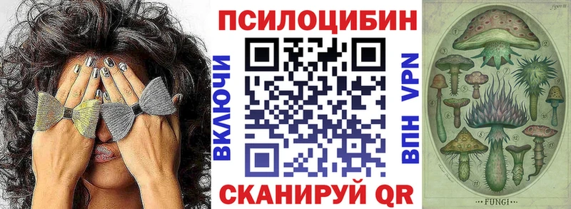 Галлюциногенные грибы GOLDEN TEACHER  купить   Туринск 